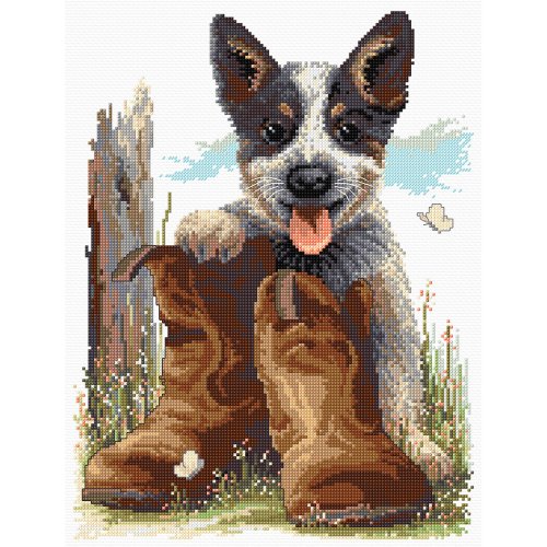(image for) Bluey’s Boots
